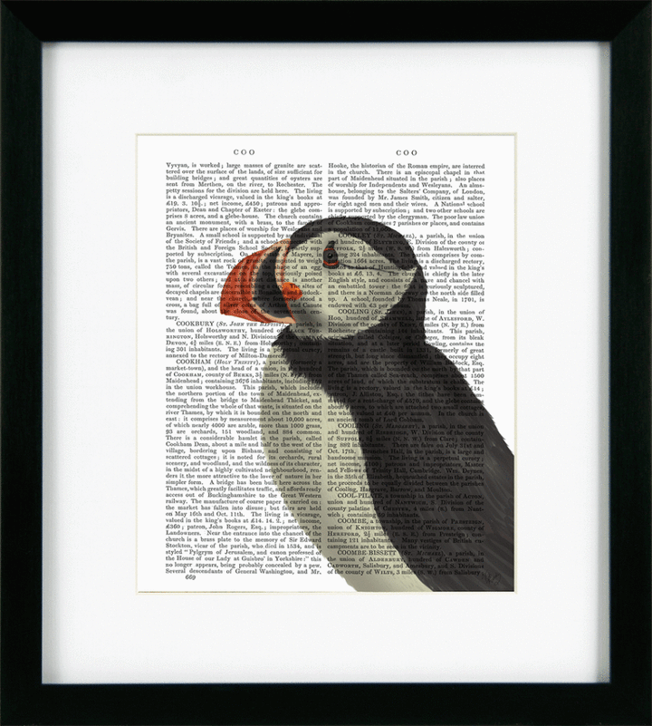 Puffin Portraits VI By Fab Funky *NEW* - TheArtistsQuarter