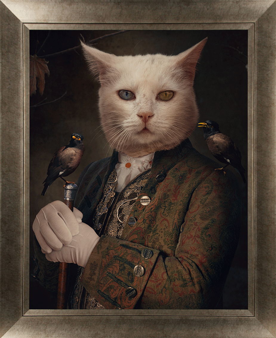 Toulouse The Cat - TheArtistsQuarter