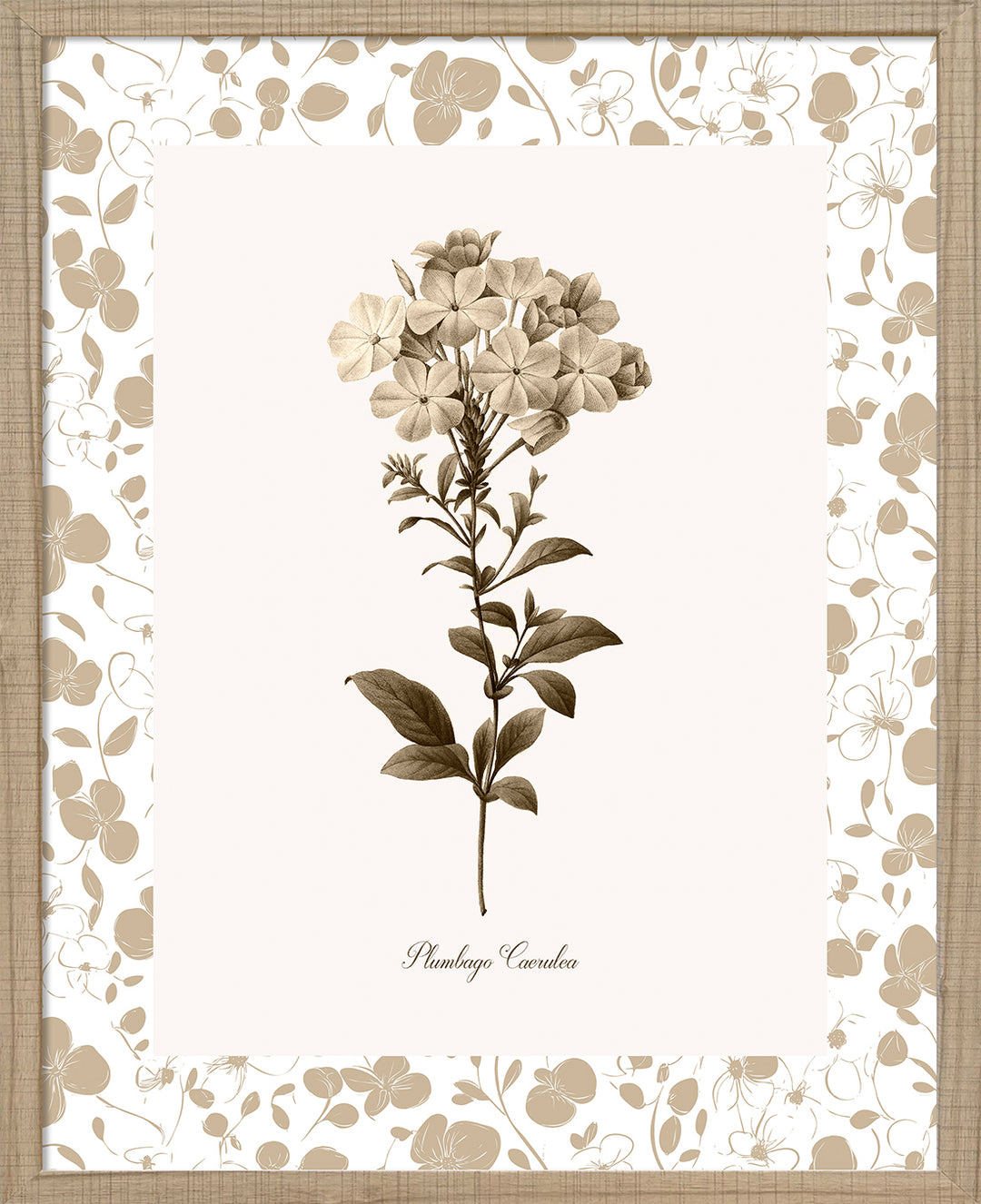 Neutral Imperial II by Kelly Donovan - TheArtistsQuarter