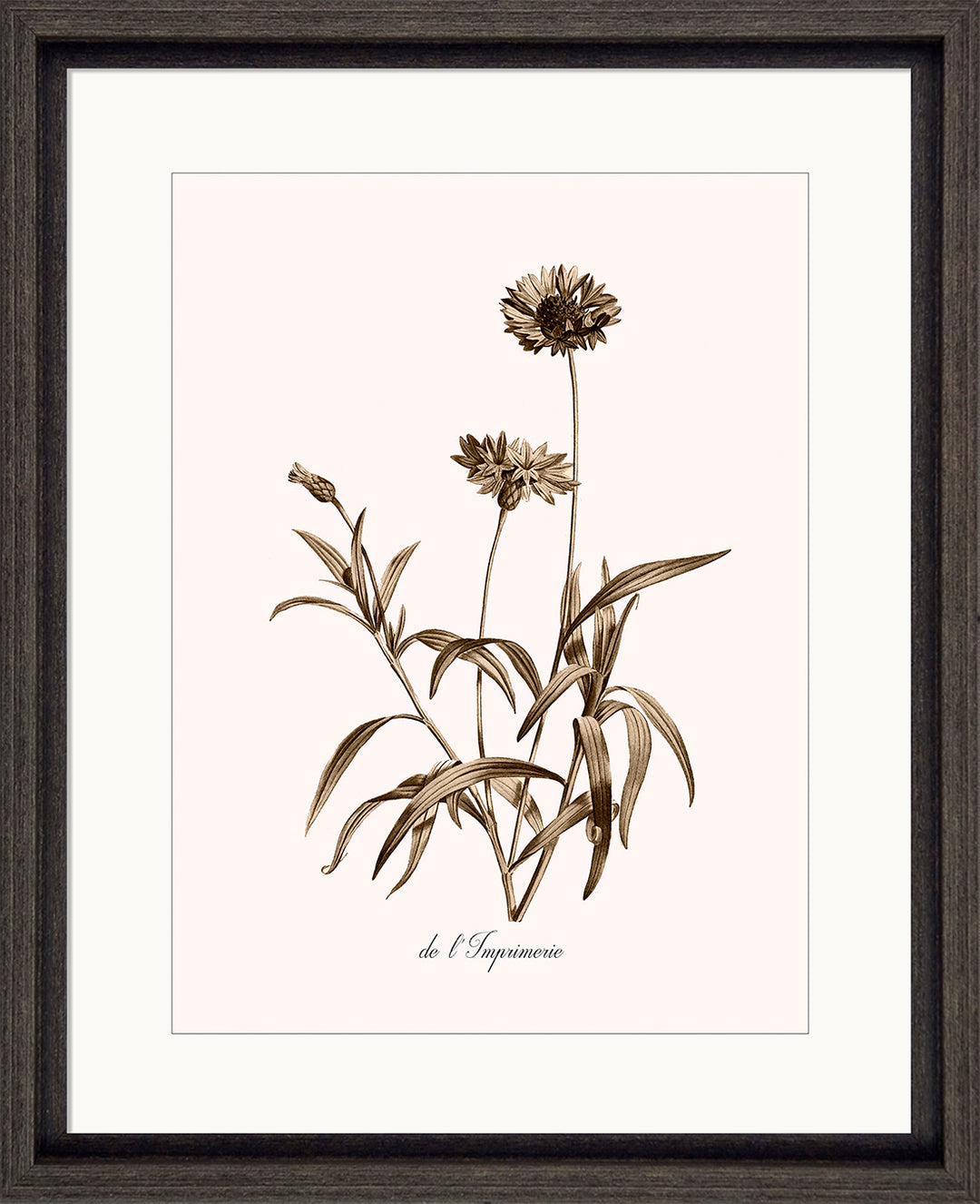 Neutral Imperial I (Plain Border) by Kelly Donovan - TheArtistsQuarter