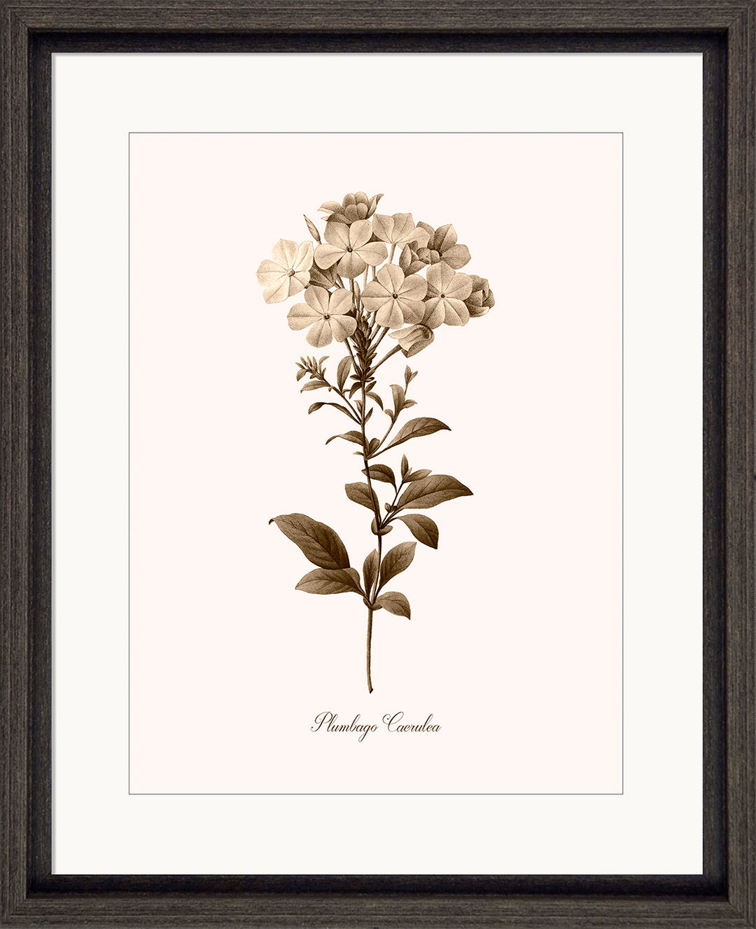 Neutral Imperial II (Plain Border) by Kelly Donovan - TheArtistsQuarter