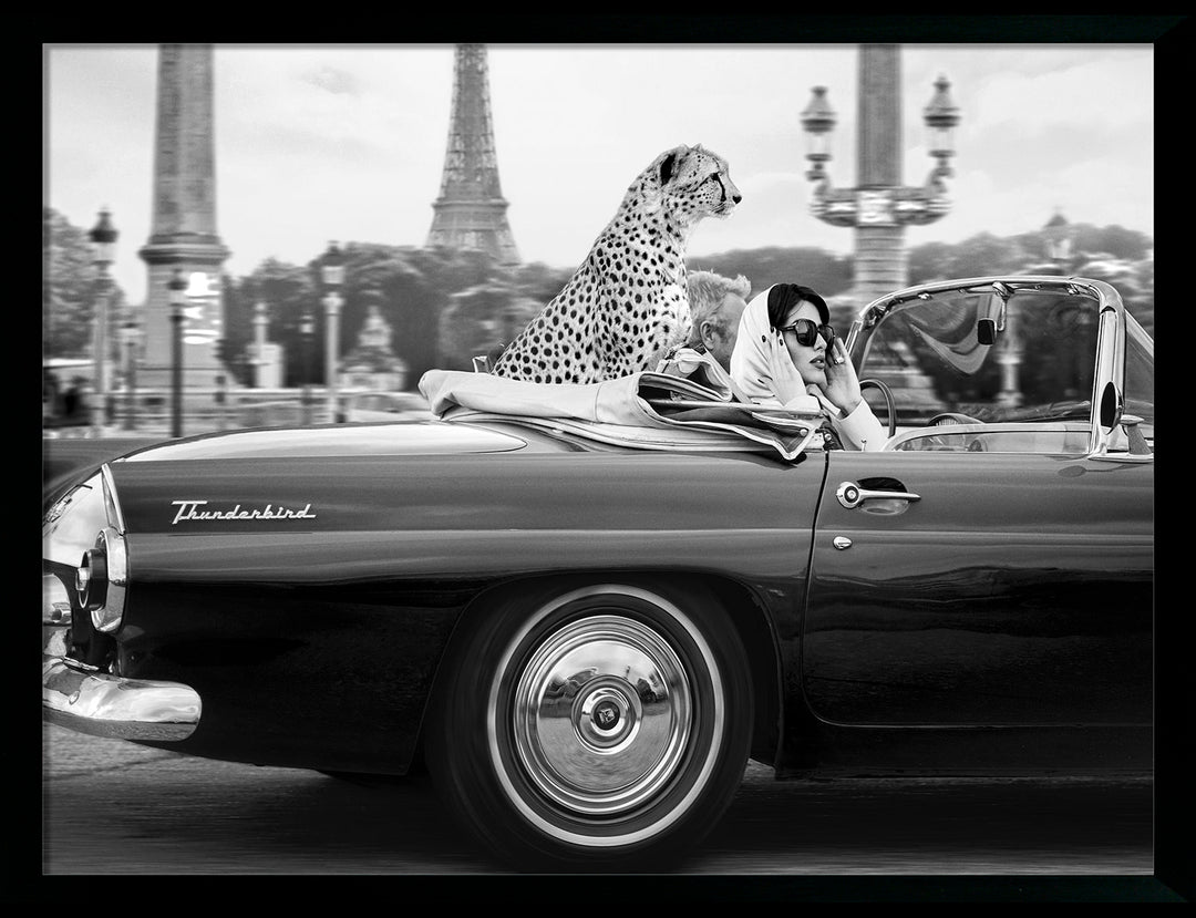 Luxurious Wilderness IV by Julian Lauren - TheArtistsQuarter