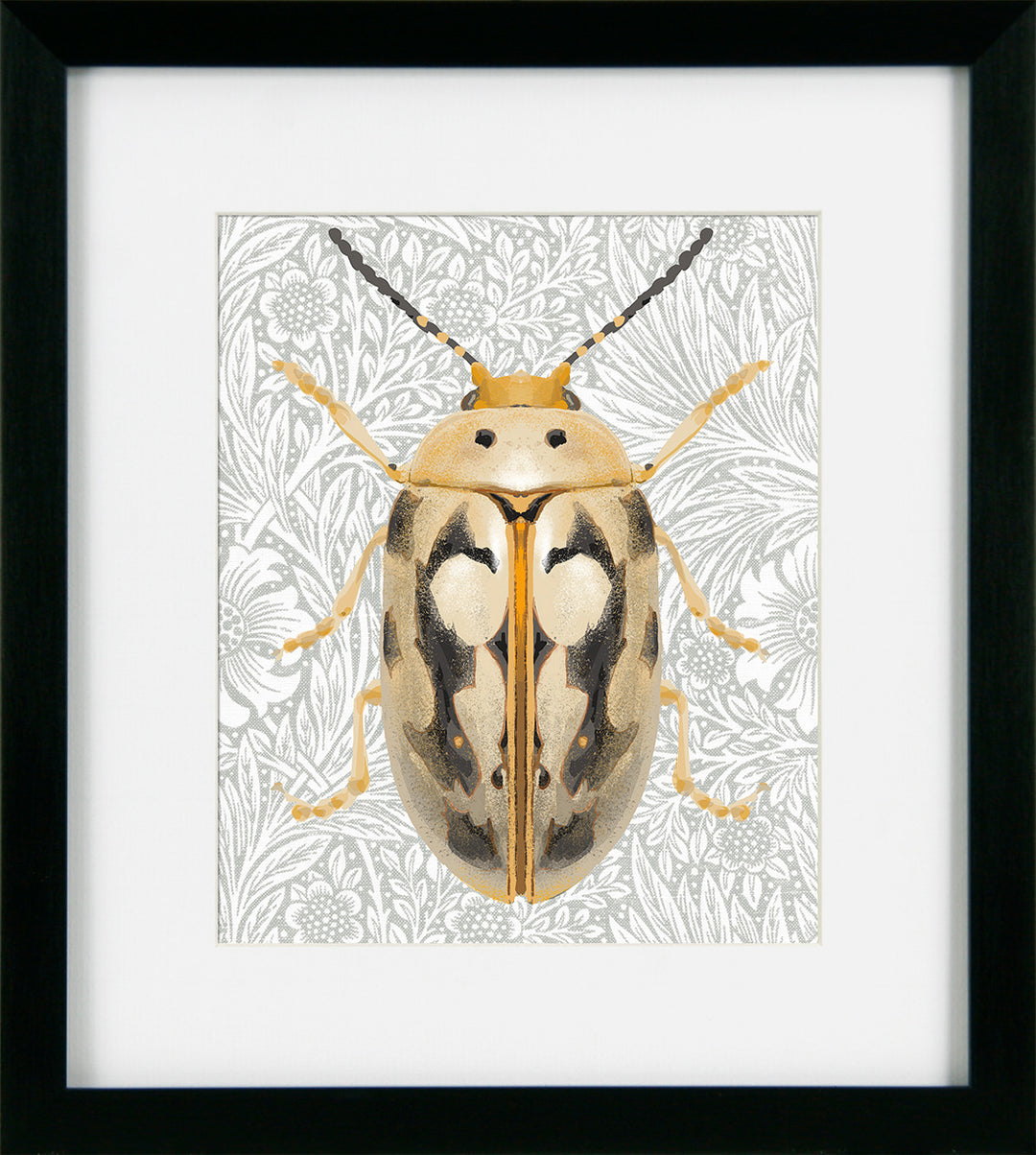Beetles & Butterflies III by Danhui Nai - TheArtistsQuarter
