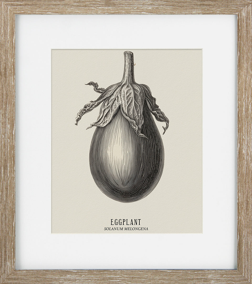 Vintage Veg Illustration VII by None - TheArtistsQuarter
