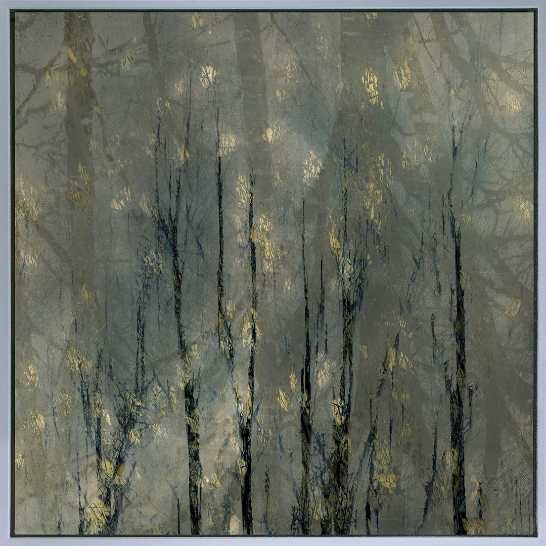 Silver Trees