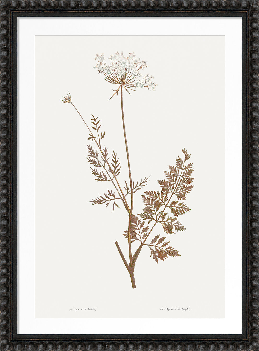 Neutral Botany IV by Camelot Pictures framed neutral botanical artwork