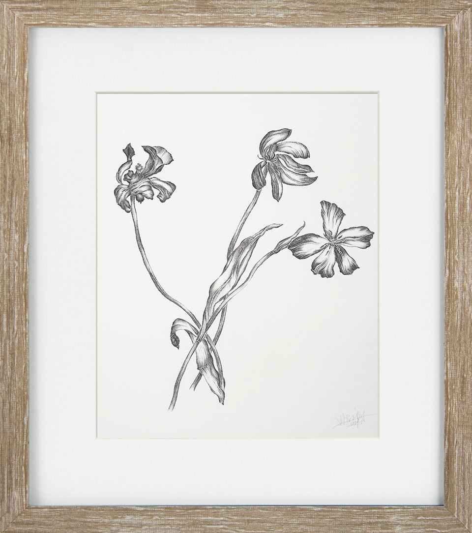 Delicate Floral Sketch II by Camelot Pictures framed floral wall art