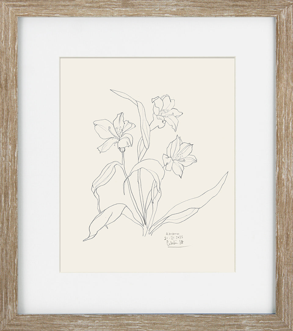 Cream Floral Sketch I
