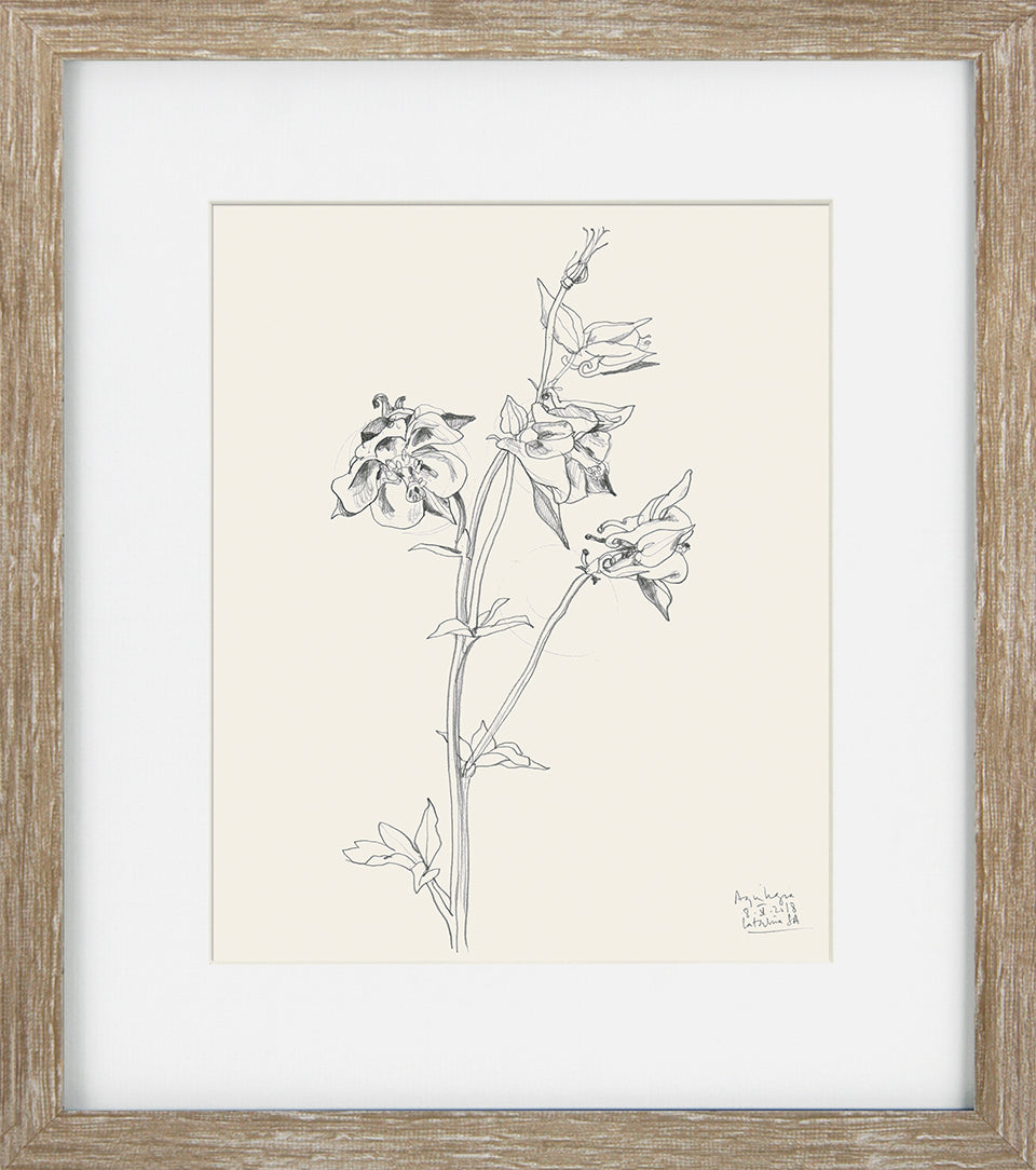 Cream Floral Sketch III