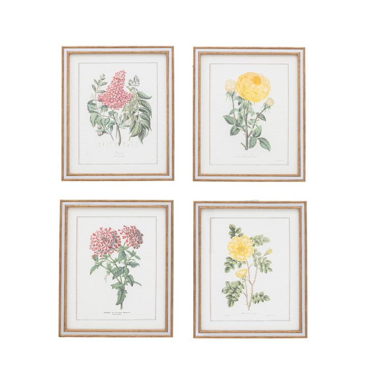 Floral Quartet Framed Art Set of 4 - TheArtistsQuarter