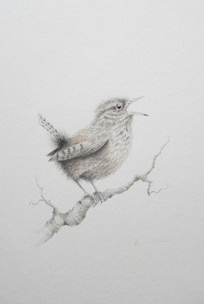 Bird On A Branch II By Sarah Ewing (Original) - TheArtistsQuarter