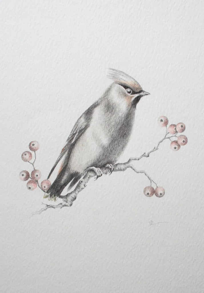 Bird On A Branch I By Sarah Ewing (Original) - TheArtistsQuarter
