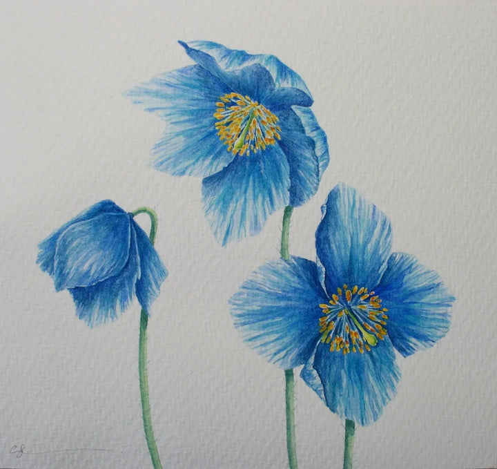 Blue Flowers By Sarah Ewing (Original) *Very slight seconds - TheArtistsQuarter