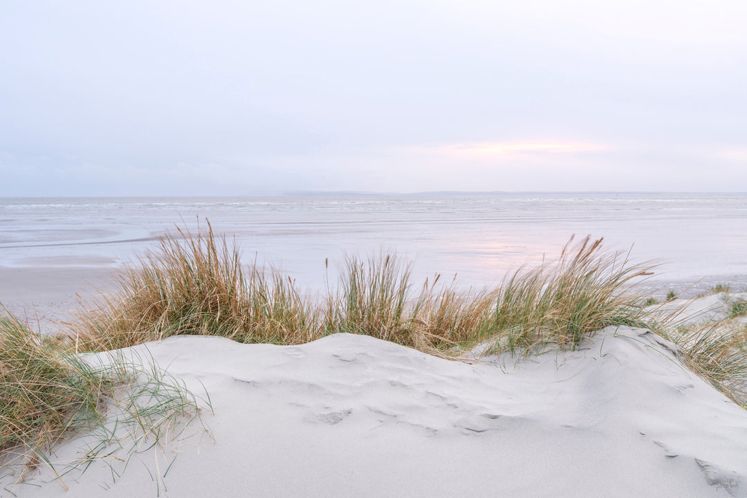 Among The Dunes By Assaf Frank *NEW* - TheArtistsQuarter