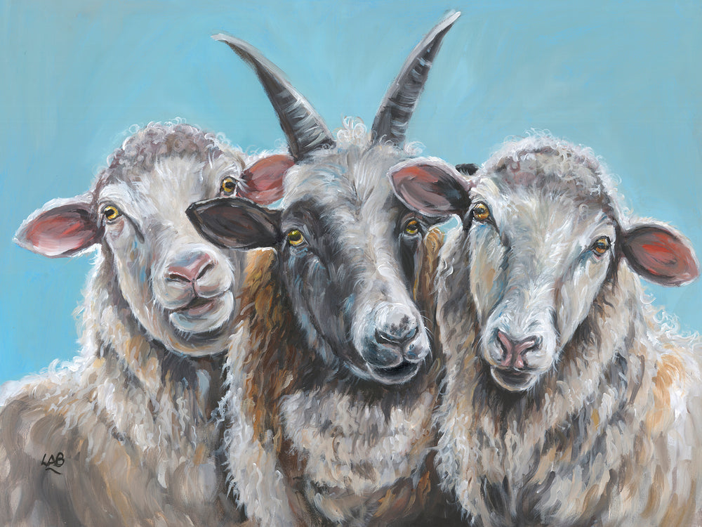 What Are Ewe Looking At Canvas By Louise Brown *NEW* - TheArtistsQuarter