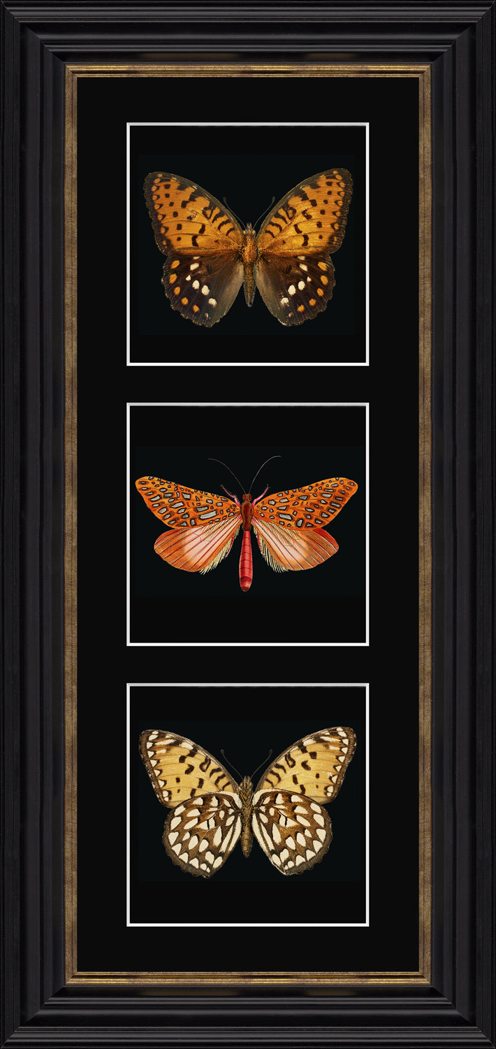 Orange Butterflies Triptych *NEW* - TheArtistsQuarter