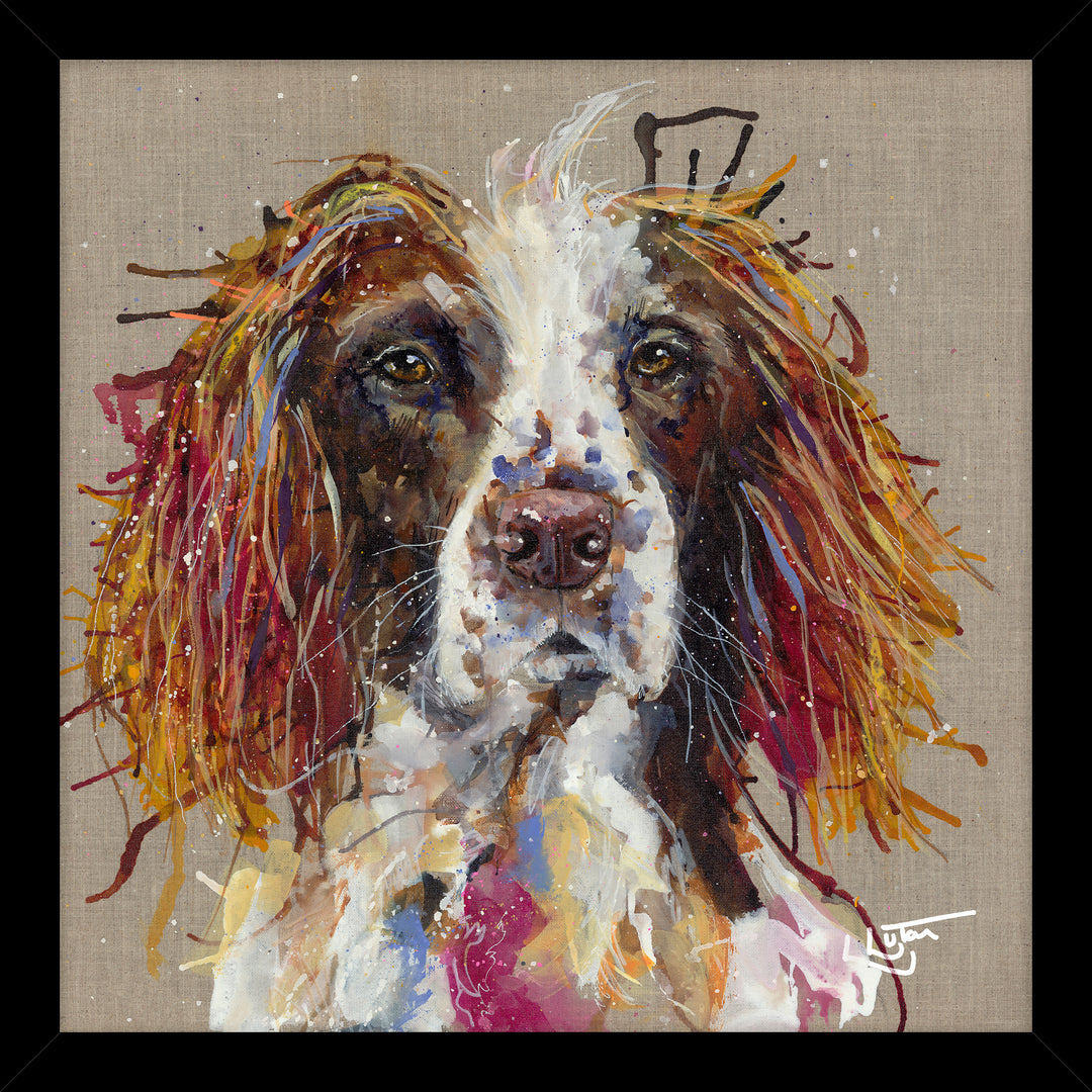 Spaniel By Louise Luton - TheArtistsQuarter