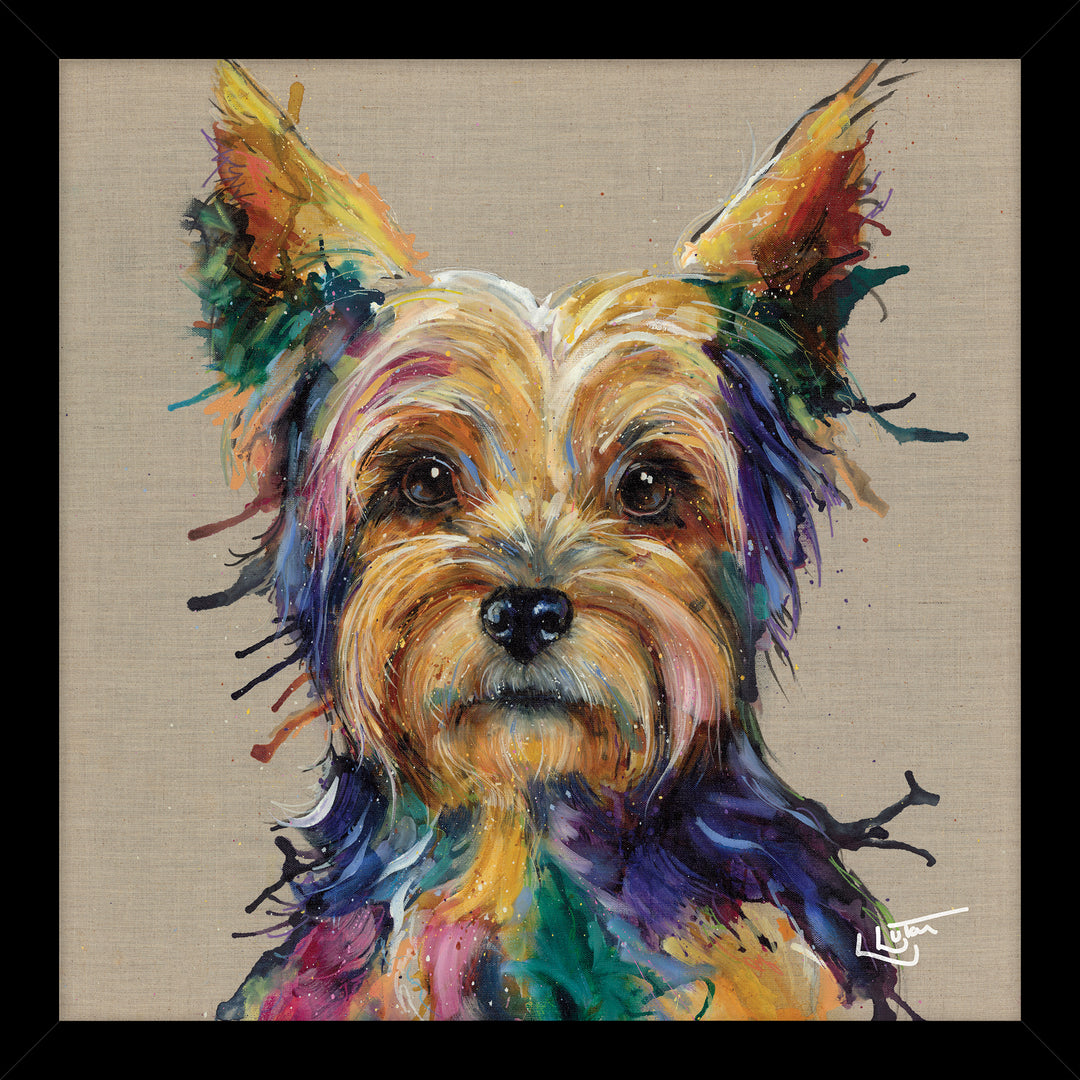 Yorkie By Louise Luton - TheArtistsQuarter