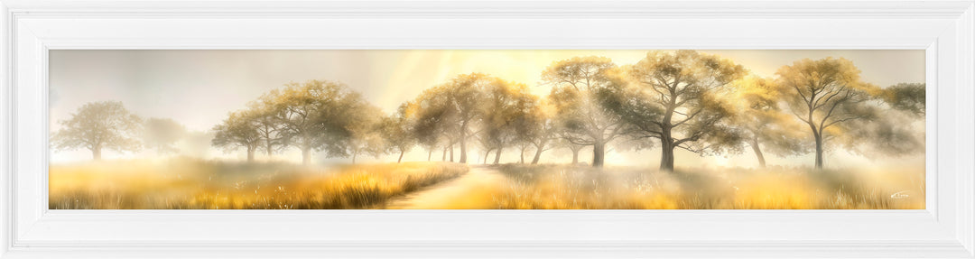 Morning Light by M Torelli