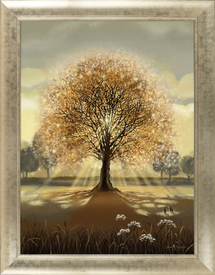 Evening Sun by Catherine Stephenson
