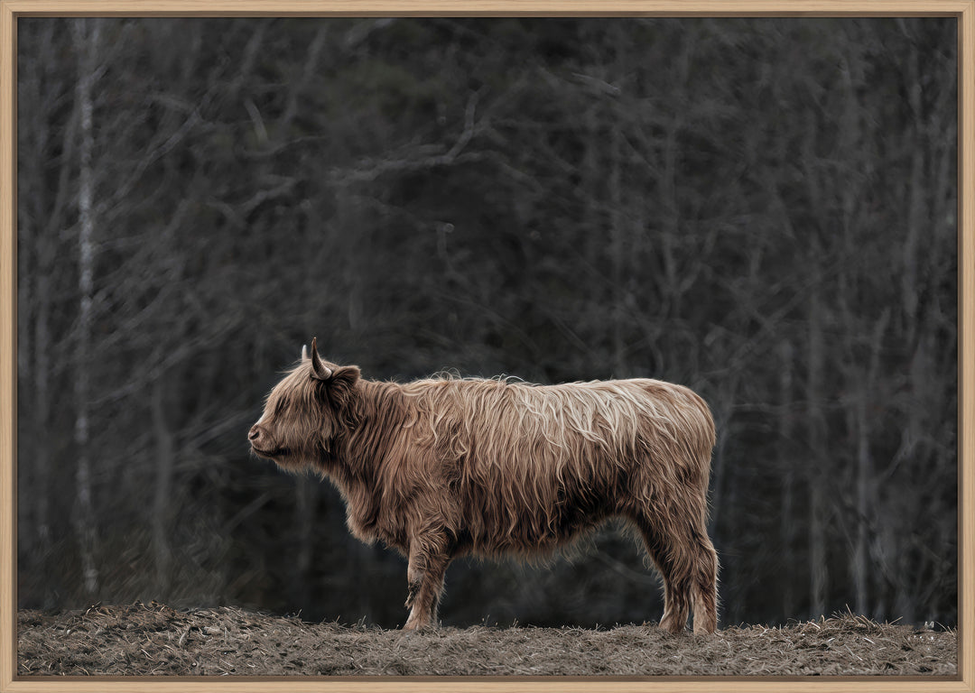 Hilltop Highland by Nathan Larson