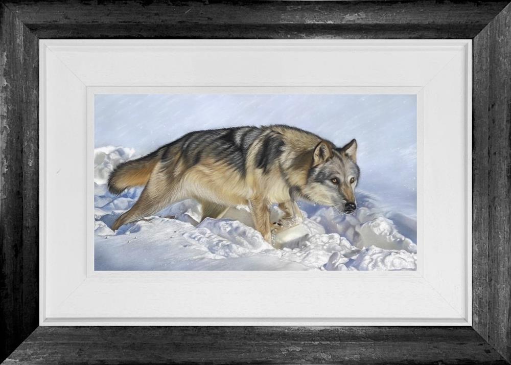 Arctic Wolf by Clare Parkes (Original) - TheArtistsQuarter
