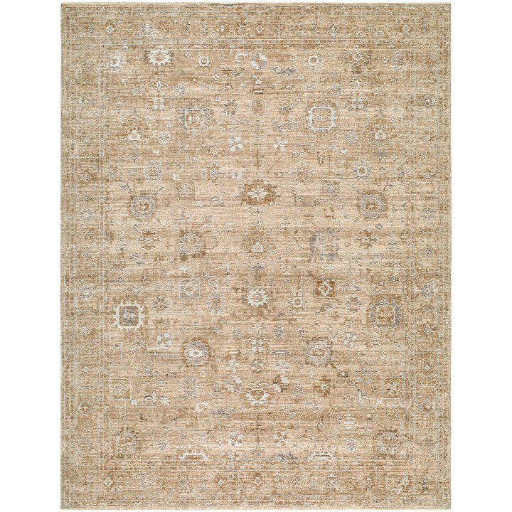 Penny Becki Owens Vintage Traditional Rug Brown & Ivory - TheArtistsQuarter