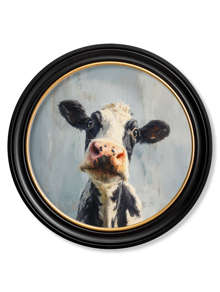 The Curious Cow - Oxford Round Frame - TheArtistsQuarter