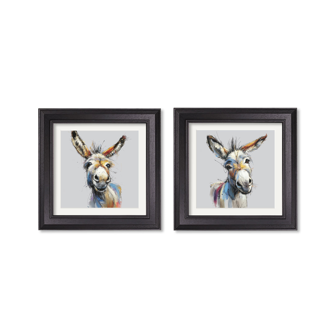 Donkey Jack & Jennet Cosy Sketch - Black Hurstwood Square Frame - TheArtistsQuarter