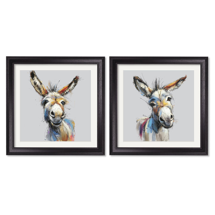 Donkey Jack & Jennet Cosy Sketch - Black Hurstwood Square Frame - TheArtistsQuarter
