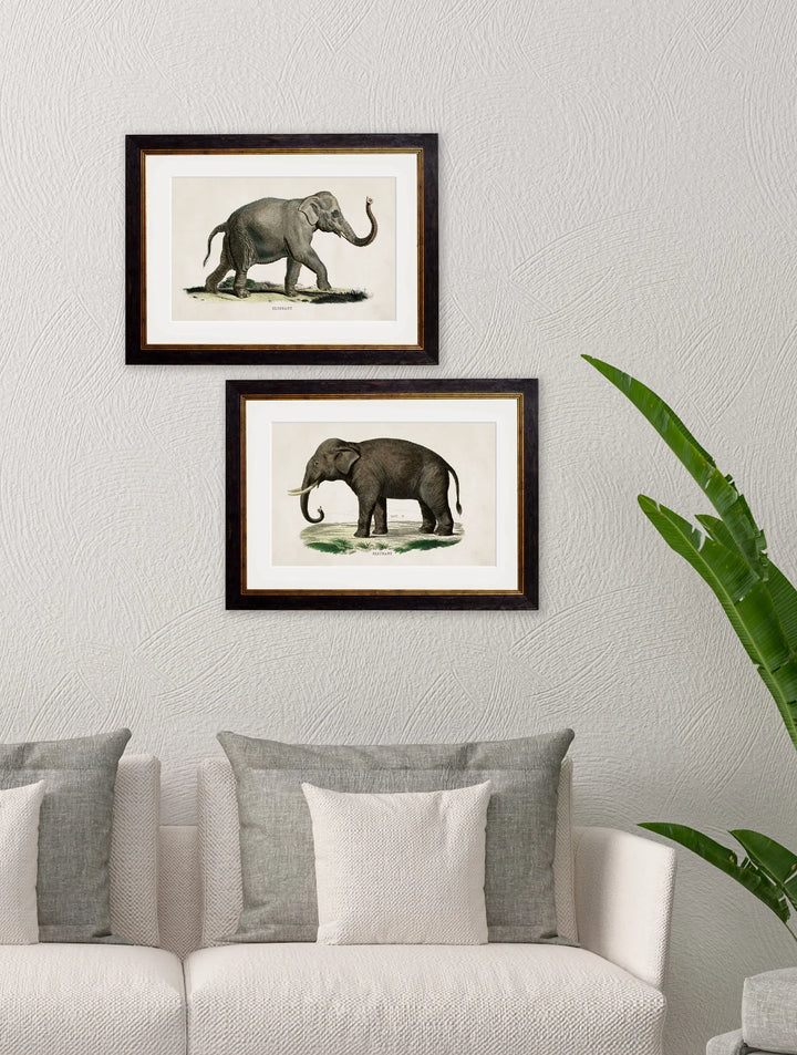 c.1846 Elephants - TheArtistsQuarter