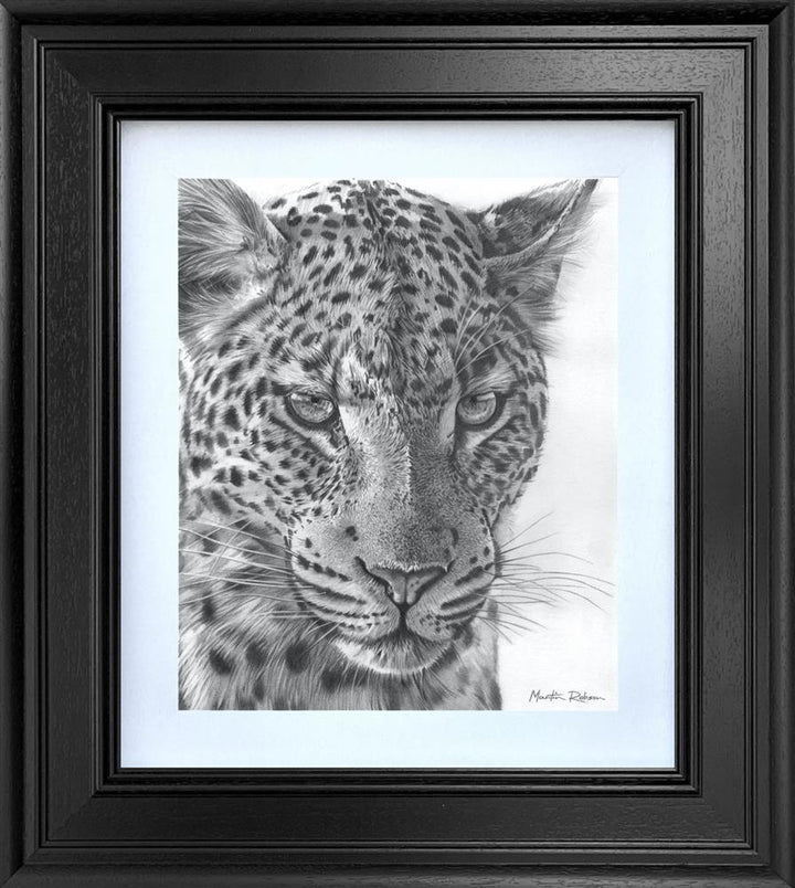 Martin Robson - Emerald Gaze - Study