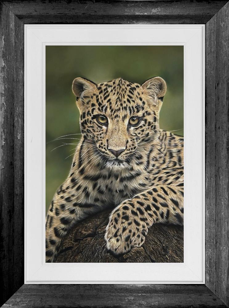 Eyes of the Wild by Clare Parkes (Original) - TheArtistsQuarter