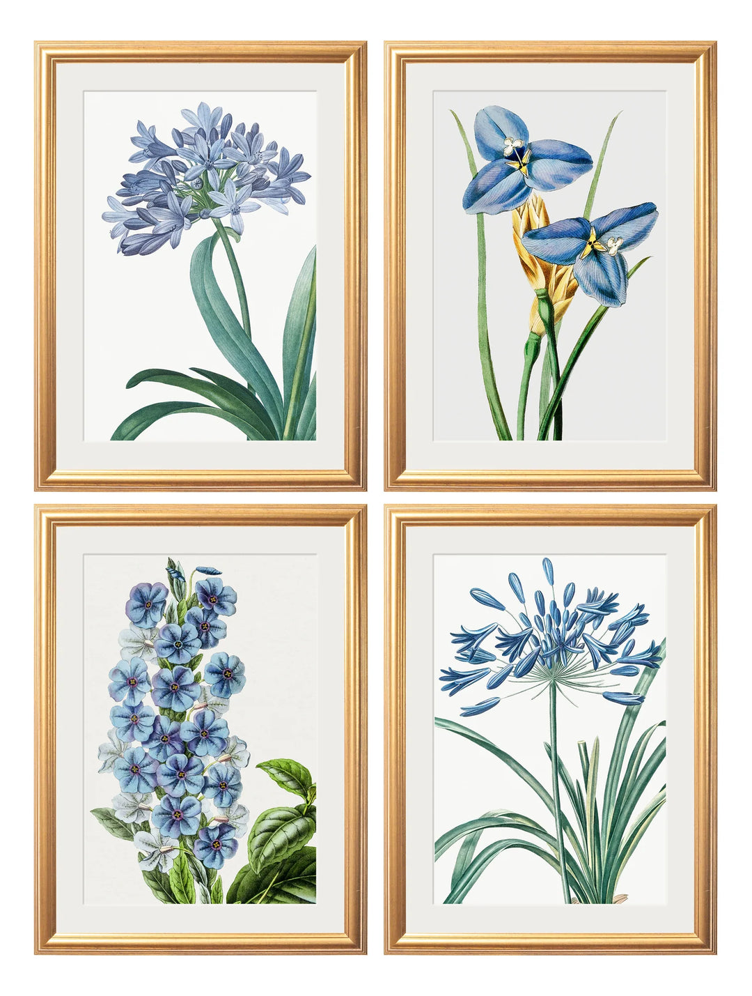 Blue Floral Illustrations Set of 4 Prints - TheArtistsQuarter