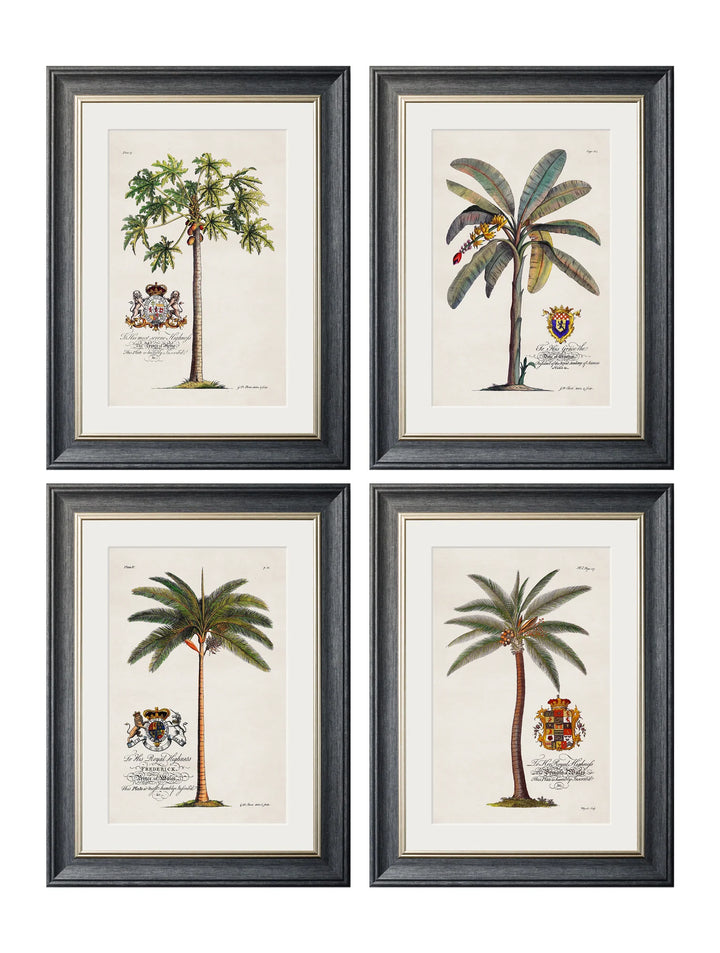 Studies of Palms - TheArtistsQuarter