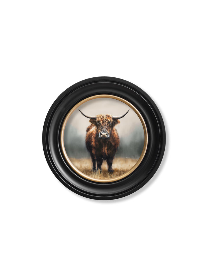 Highland Cow - Oxford Round Frame - TheArtistsQuarter
