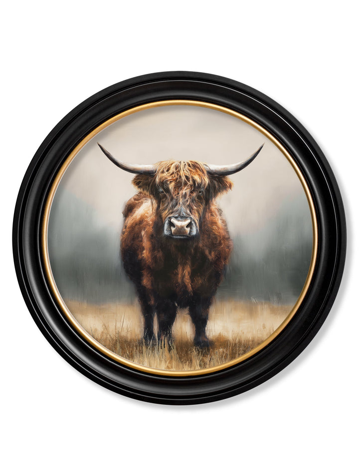 Highland Cow - Oxford Round Frame - TheArtistsQuarter