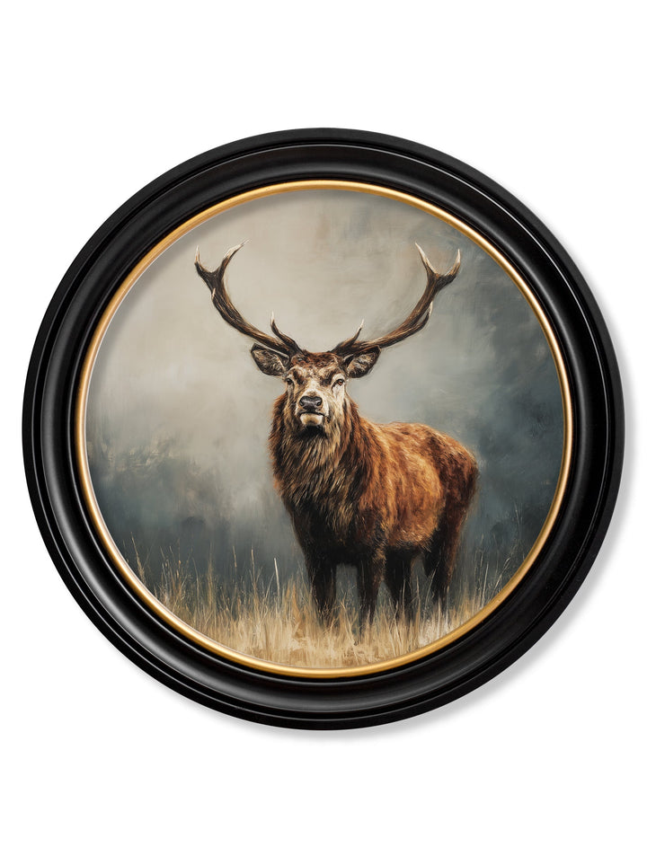 Highland Stag - Oxford Round Frame - TheArtistsQuarter