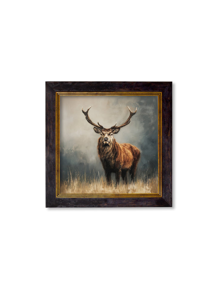 Highland Stag - Oxford Square Frame - TheArtistsQuarter