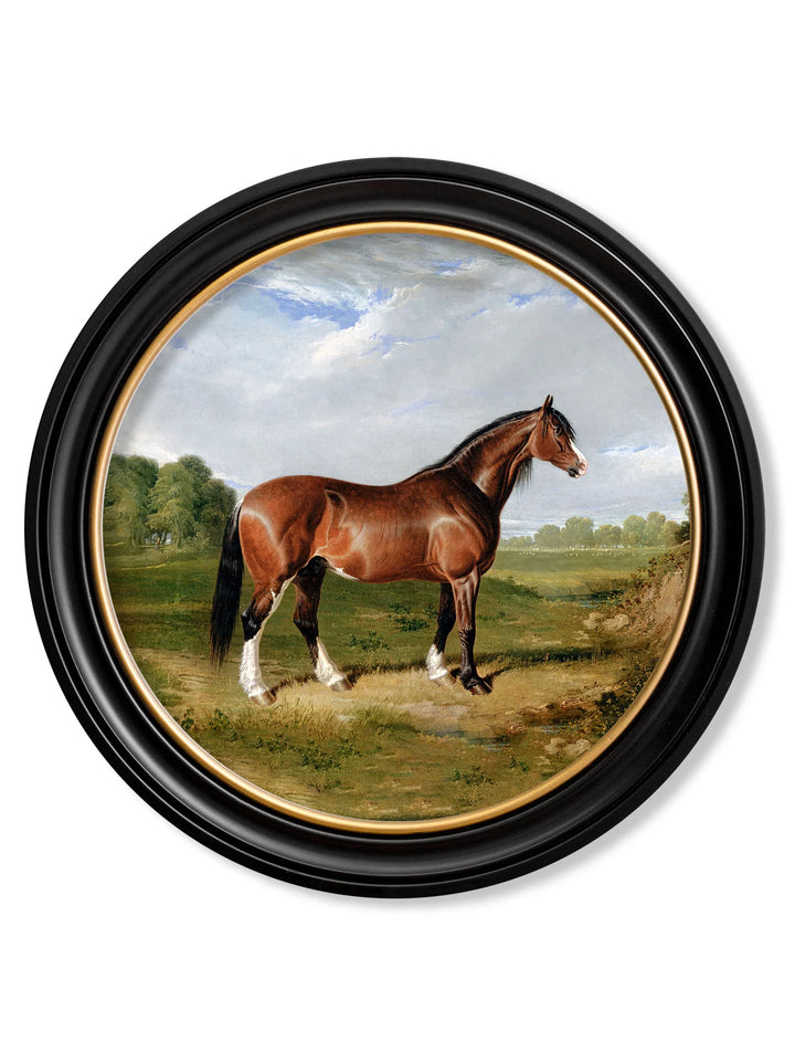 c.1840 Horses - Round Frame - TheArtistsQuarter