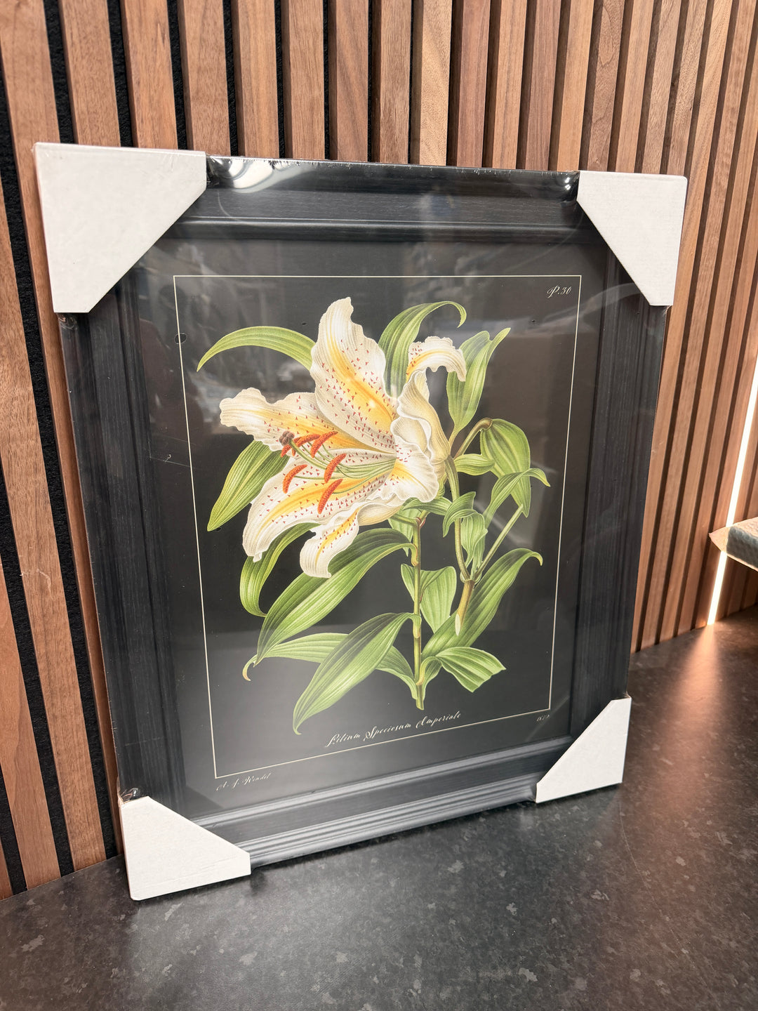 Lily (Trial)