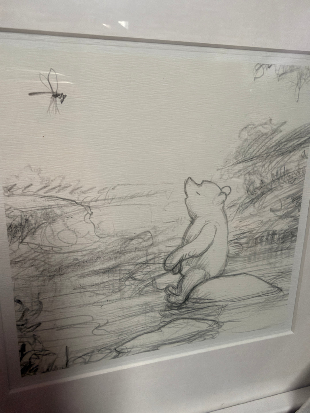 Poo Sketch Trial