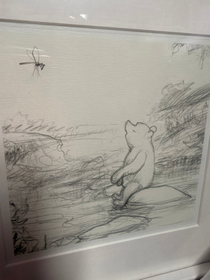 Poo Sketch Trial
