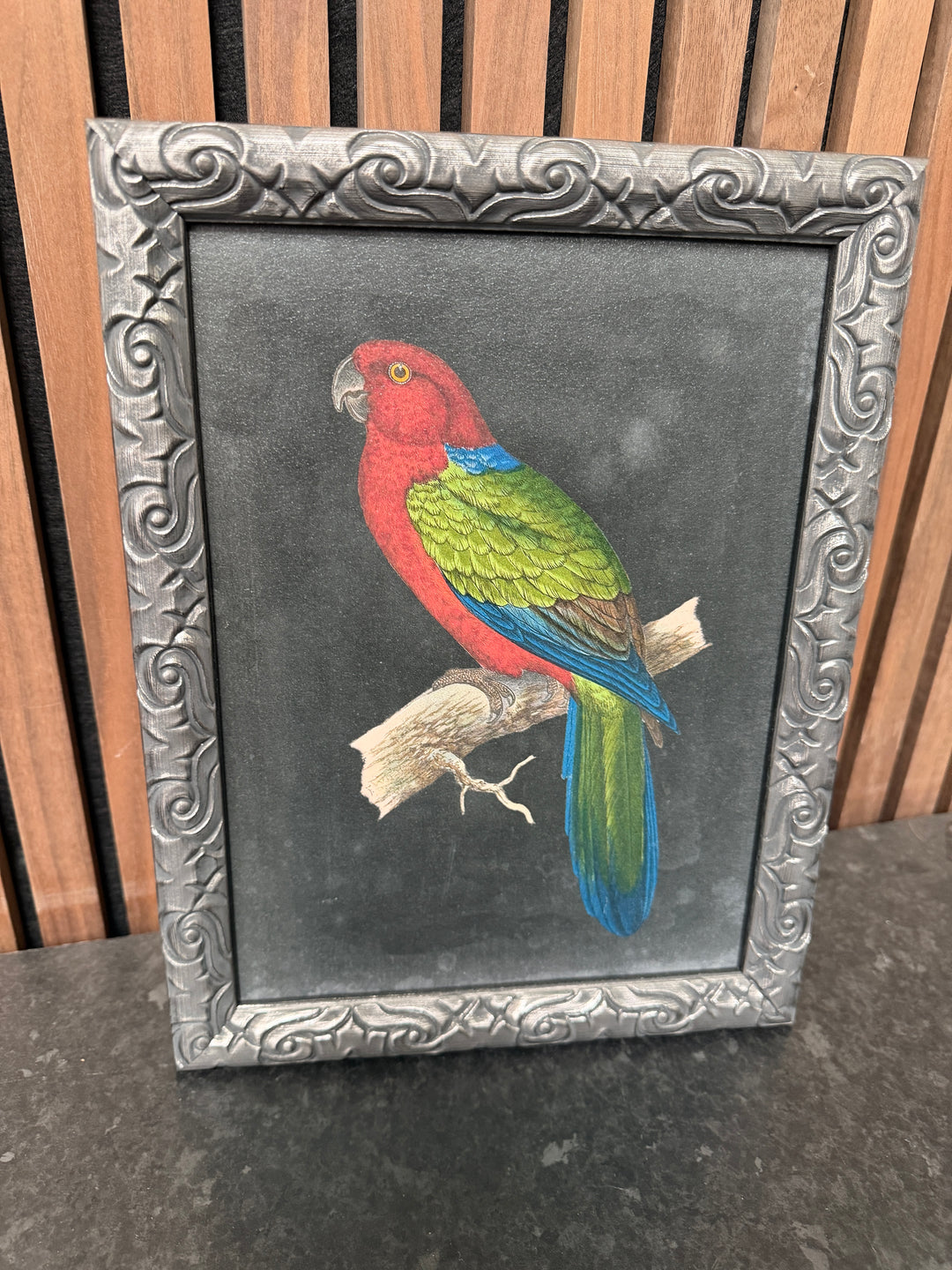 PARROT Trial