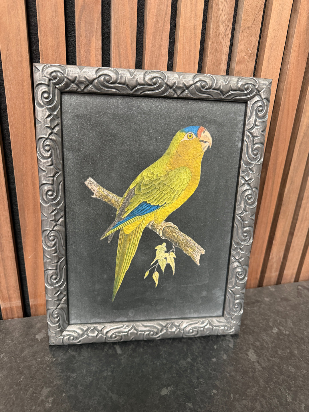 PARROT Trial