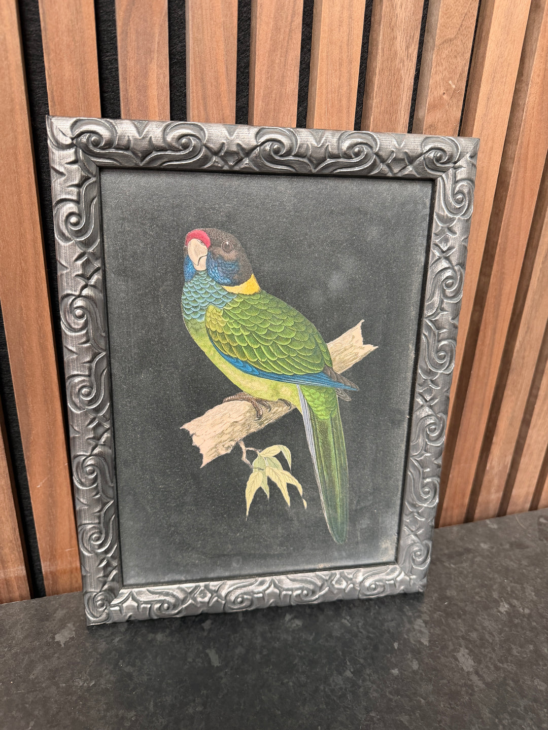 PARROT Trial - TheArtistsQuarter