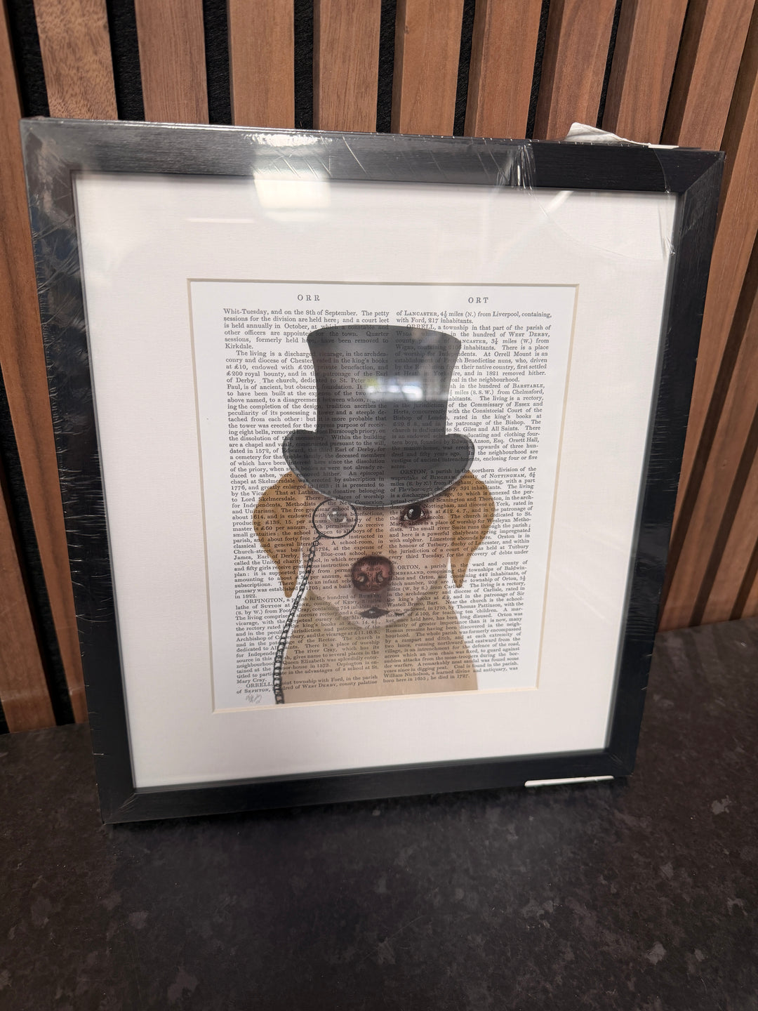 Dogs Trial