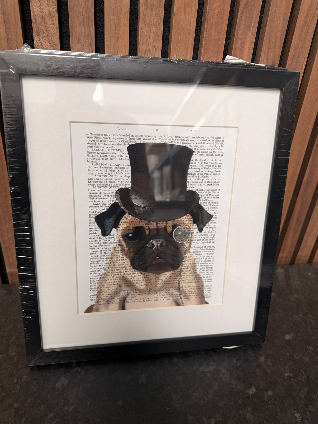 Dogs Trial