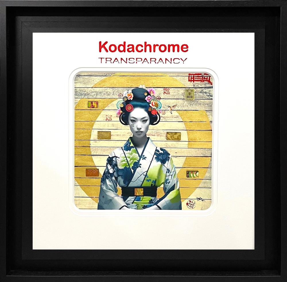 Kodachrome - To Have And To Hold by The Trunk Of Funk (Limited Edition) - TheArtistsQuarter