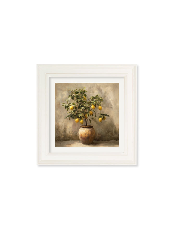 Mediterranean Lemon Tree - Cream Hurstwood Square Frame - TheArtistsQuarter